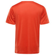 Herren-Funktionsshirt Alpine Pro Basik