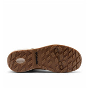 Herren Trekkingschuhe Columbia Newton Alpine Pt™