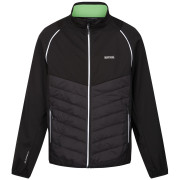 Herrenjacke Regatta Steren Hybrid schwarz/grau Black(Jasmine Green)