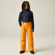 Kinder Skihose Dare 2b Outmove III Insulated Pant ElectricOrng