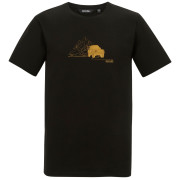 Herren-T-Shirt Regatta Cline IX schwarz BlckDsrtJeep