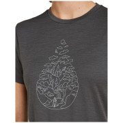 Damen-T-Shirt Icebreaker Women Merino 150 Tech Lite SS Tee Hike Path