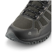 Herrenschuhe Alpine Pro Musswe