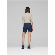 Damenshorts Norrona falketind flex1 light Shorts