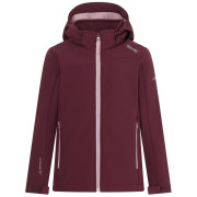 Kinder-Softshell-Jacke Regatta Haydenbury Fig lila Fig Powder Lilac