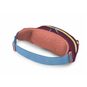 Hüfttasche Osprey Daylite Waist Pack