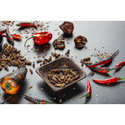 Essbare Grillen Sens Würzige, knusprige und geröstete Grillen - Geschenkset mit 4 Geschmacksrichtungen