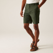 Herrenshorts Regatta Dalry Short