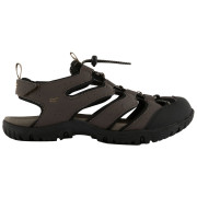 Herrensandalen Regatta New Westshore IV dunkelbraun Peat