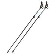 Nordic Walking Stöcke Fizan Tekno Race Impulse grau Grey