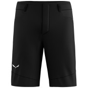 Herrenshorts Salewa Agner Dst M Shorts.