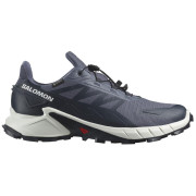 Herren Laufschuhe Salomon Supercross 4 Gore-Tex