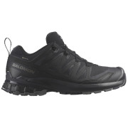 Wanderschuhe Salomon Xa Pro 3D V9 Gore-Tex