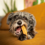 Hundespielzeug Explorer Dog Himalayan Chew