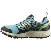 Damen Laufschuhe Salomon Wander Gore-Tex