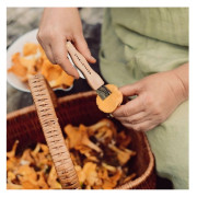 Pilzmesser Stabilotherm Svampkniv 6 cm