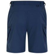 Herrenshorts Dare 2b Tuned In II Short