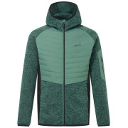 Herren-Hybridjacke Regatta Newhill Hybrid grün/schwarz DkFrstGr/Blk