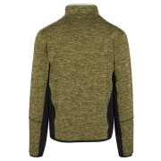 Herren Funktions-Sweatshirt Regatta Alven