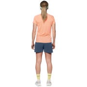 Damen-T-Shirt Devold Endurance Merino 130 Tee Wmn