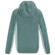 Kinder-Sweatshirt Regatta Skylar IvyMossOMist