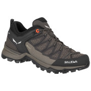 Damenschuhe Salewa Ws Mtn Trainer Lite Gtx grau