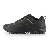 Herrenschuhe Alpine Pro Musswe