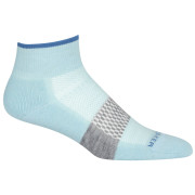 Damensocken Icebreaker Women Multisport Light Mini blau haze/azul/metro hthr