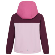 Kinderjacke Regatta Hanleigh Fig