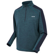 Herren-Sweatshirt Regatta Hepley
