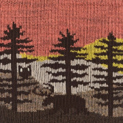 Damensocken Darn Tough Northwoods Micro Crew Midweight With Cushion