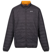 Herrenjacke Regatta Hillpack grau Ash(Orange Pepper)