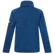 Kinder-Sweatshirt Regatta Junior Newhill Aviator Blue Golden Cypress