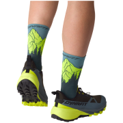 Herren Laufschuhe Dynafit Traverse 2 Gtx