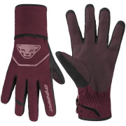 Handschuhe Dynafit Mercury Dst Gloves
