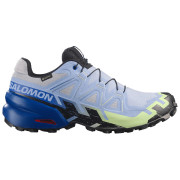 Herren Laufschuhe Salomon Speedcross 6 GTX Icon