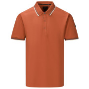Herren-T-Shirt Regatta Adryan Polo braun Brick