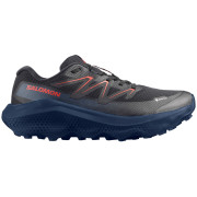 Herrenschuhe Salomon Ultra Flow 2 Gore-Tex