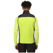 Herrenweste Regatta Halton BW VI