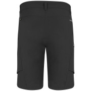 Herrenshorts Salewa Puez Dst M Cargo Shorts