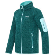 Kinder-Sweatshirt Regatta Junior Newhill DrkForGlacGr