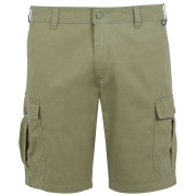 Herrenshorts Regatta Ruwan Shorts grün Fauna