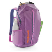 Rucksack Patagonia Black Hole Pack 25L