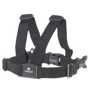 Kleinkind-Geschirr LittleLife Toddler Reins 2023 schwarz black