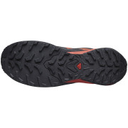 Herren Laufschuhe Salomon X-Adventure Gore-Tex
