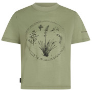 Damen-T-Shirt Icebreaker Merino 150 Tech Lite SS Crop Tee Seed Story