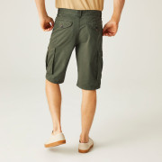 Herrenshorts Regatta Shorebay Short