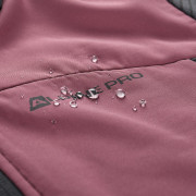 Damen Funktions-Sweatshirt Alpine Pro Zolla