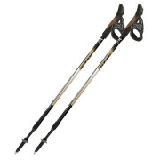 Stöcke Fizan NW Speed