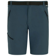 Herrenshorts Regatta Xert Stretch Shorts dunkelblau Night Sky